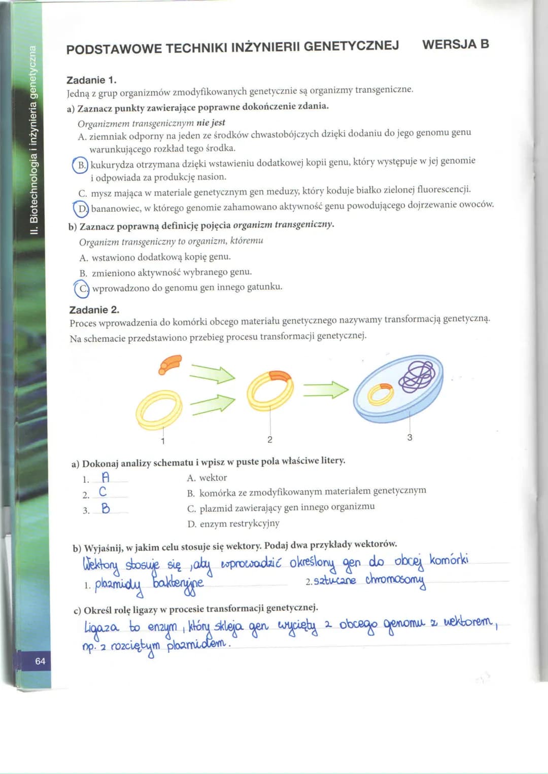 II. Biotechnologia i inżynieria genetyczna
52
BIOTECHNOLOGIA TRADYCYJNA
Zadanie 1.
Biotechnologia jest dynamicznie rozwijającą się dyscyplin
