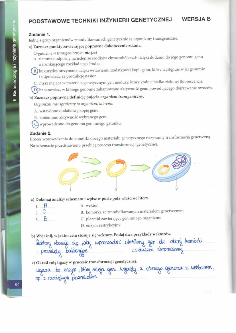 Biologia Biotechnologia I Inżynieria Genetyczna Odpowiedzi Biotechnologia i Matura: Zadania Maturalne i Notatki 2025 (Biologia