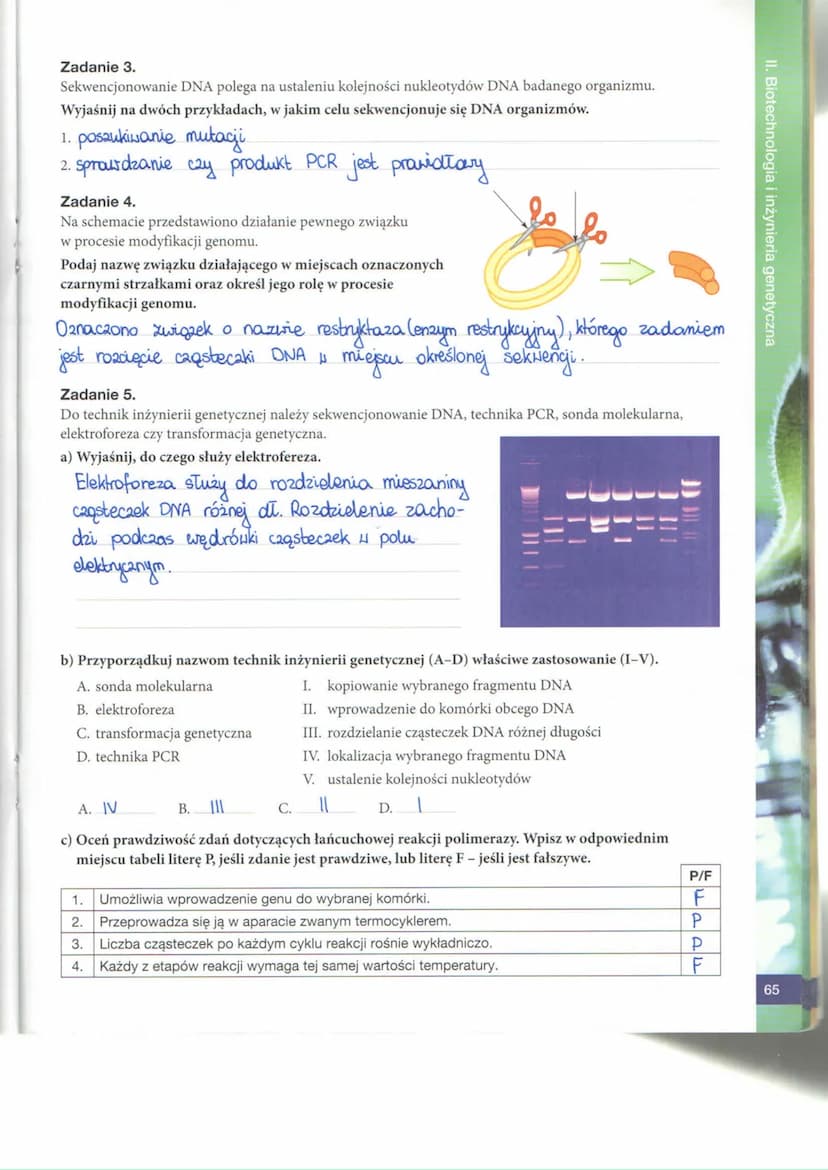 II. Biotechnologia i inżynieria genetyczna
52
BIOTECHNOLOGIA TRADYCYJNA
Zadanie 1.
Biotechnologia jest dynamicznie rozwijającą się dyscyplin