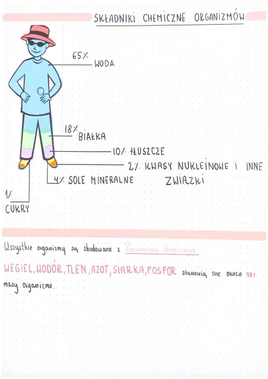 Składniki Chemiczne w Organizmie - Notatka dla Klasy 5