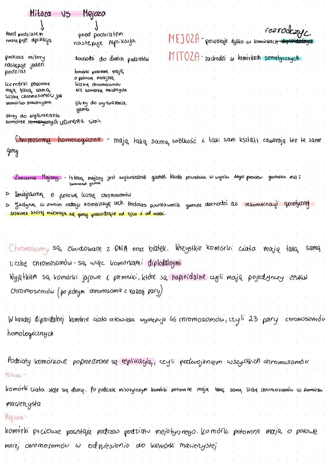 Procesy Mejozy i Mitozy: Kluczowe Różnice