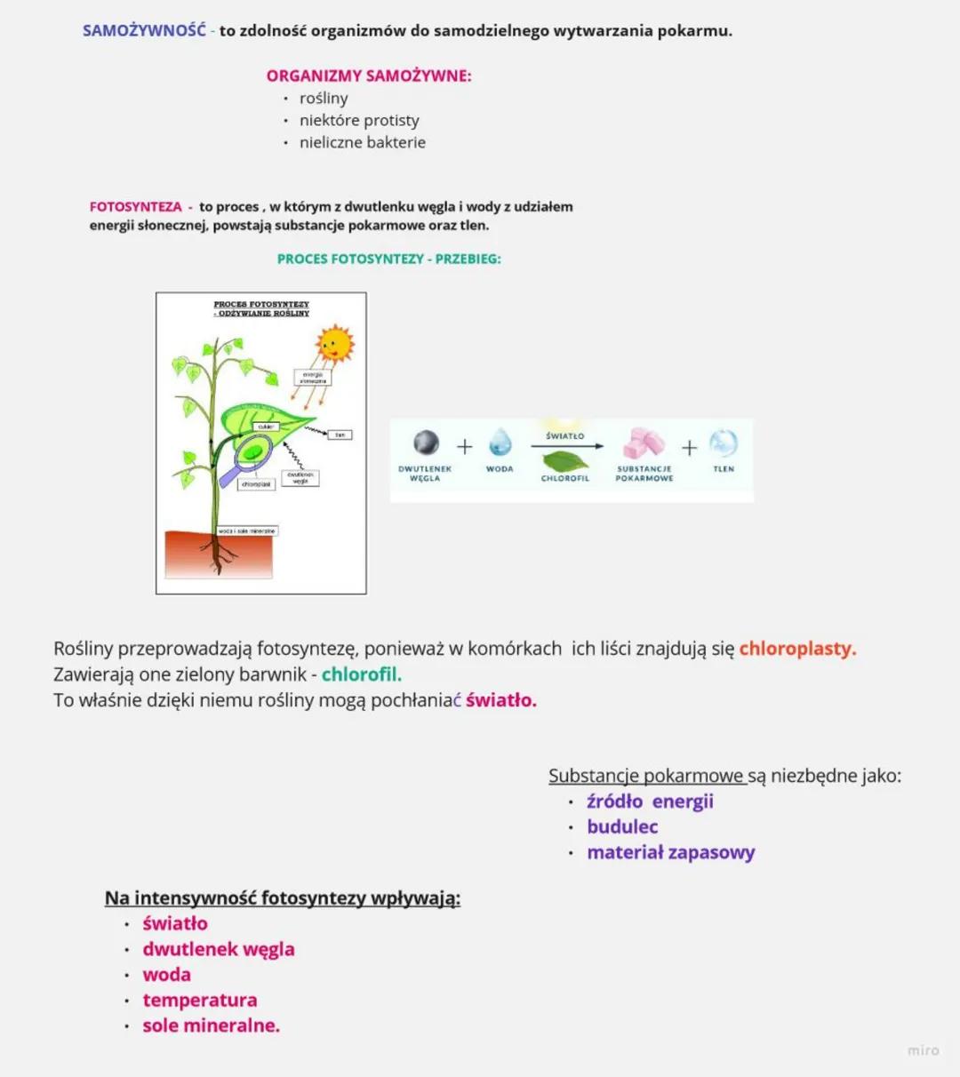 SAMOŻYWNOŚĆ - to zdolność organizmów do samodzielnego wytwarzania pokarmu.
ORGANIZMY SAMOŻYWNE:
rośliny
• niektóre protisty
• nieliczne bakt