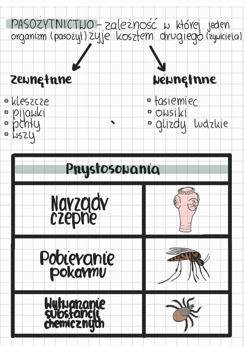 ekologia
Składa się z
Warunki środowiska
NISZA EKOLOGICZNA - określone wymagania
życlowe organizmu.
S
organizm
• Dostępność zasobów środowis