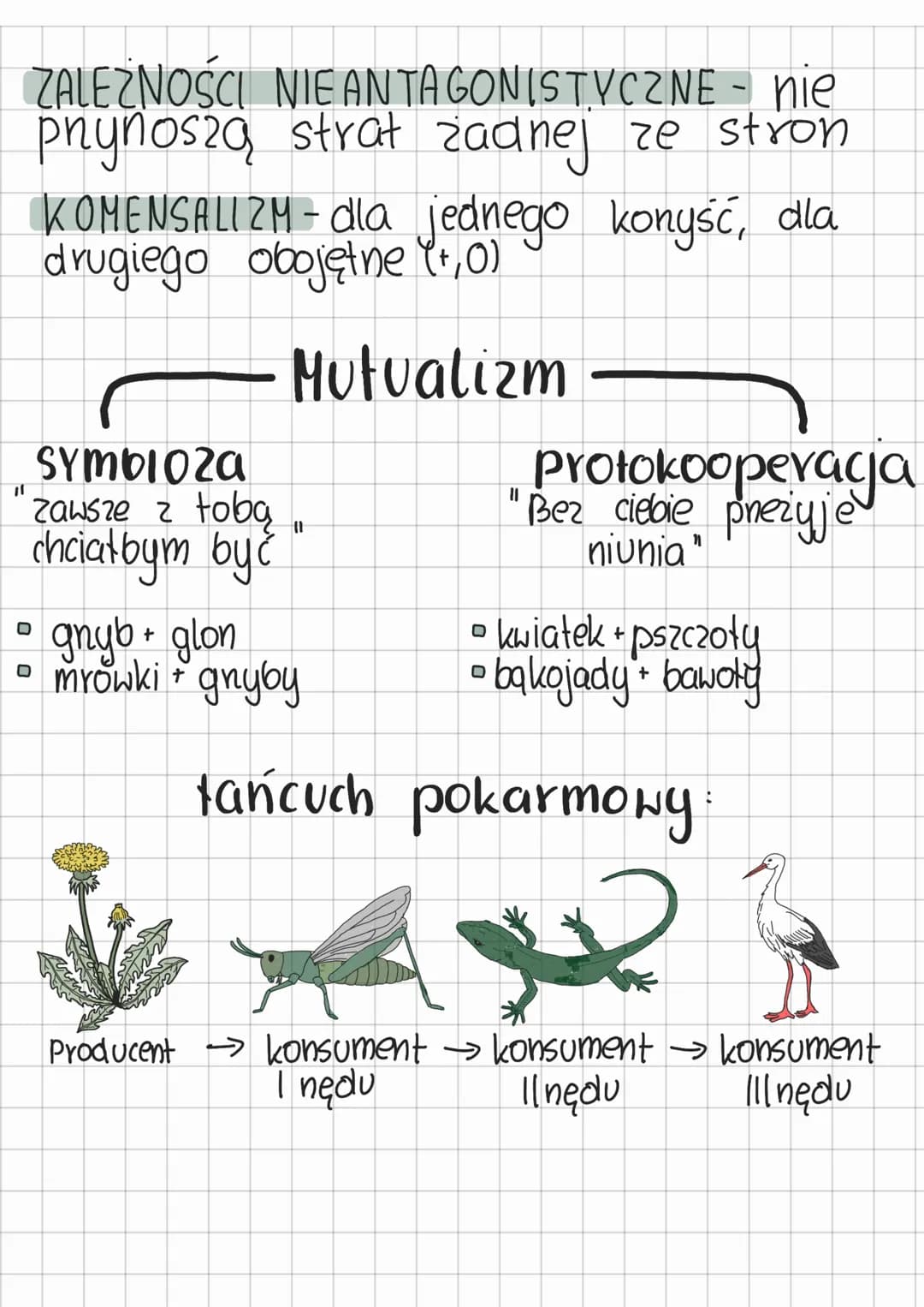 ekologia
Składa się z
Warunki środowiska
NISZA EKOLOGICZNA - określone wymagania
życlowe organizmu.
S
organizm
• Dostępność zasobów środowis