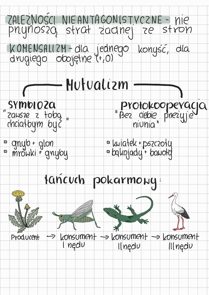 ekologia
Składa się z
Warunki środowiska
NISZA EKOLOGICZNA - określone wymagania
życlowe organizmu.
S
organizm
• Dostępność zasobów środowis