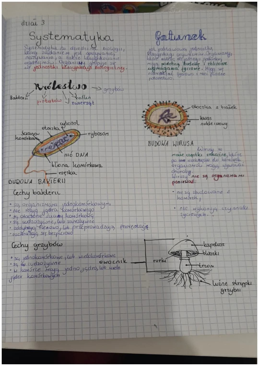 drial 3
Systematyka
Systematy far to dziedzin biologi
htove zadaniem jest opisywanie,
nazywanie, a także Masyakowanie
organizNow! OrganicMy 