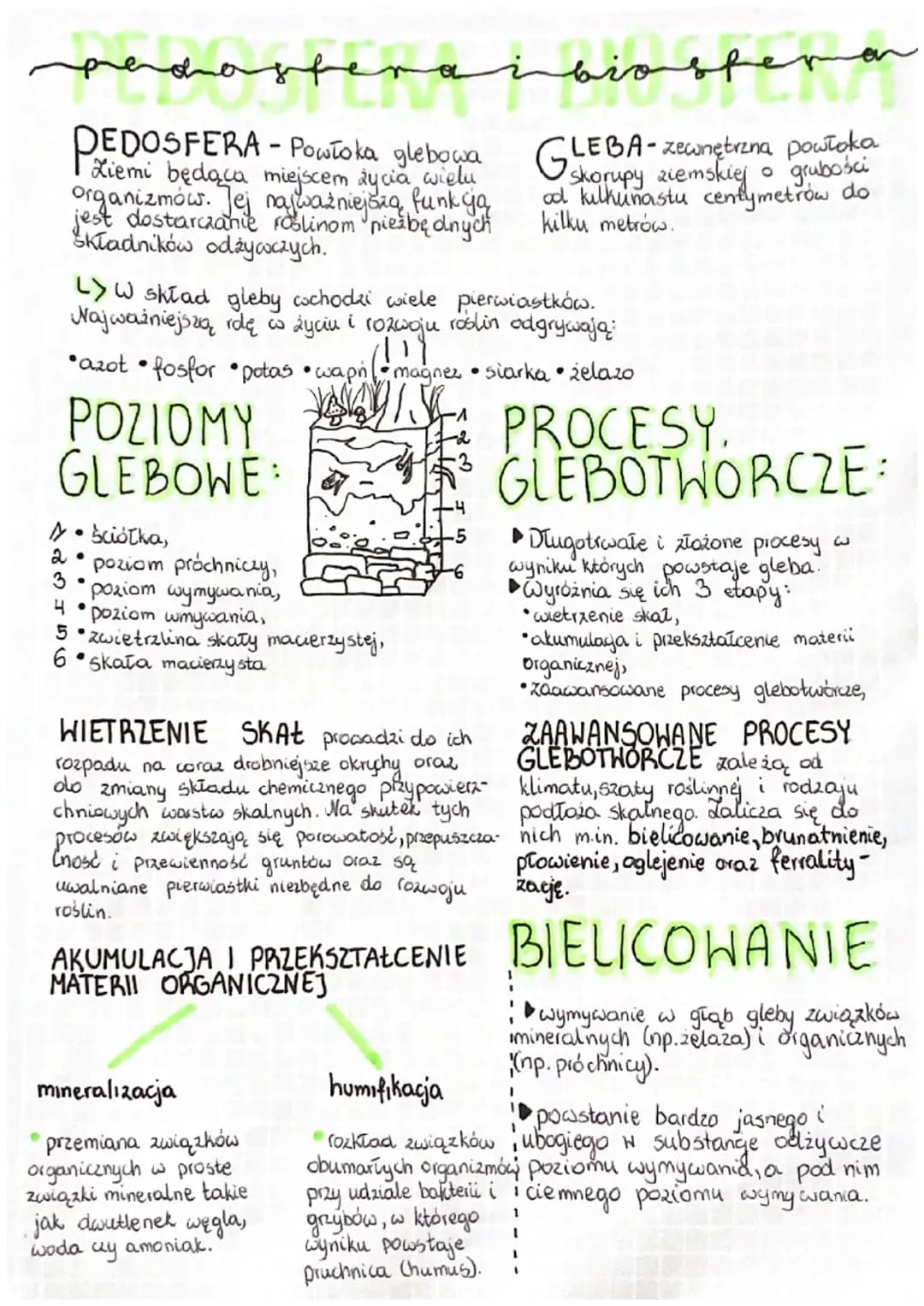 PEDOSFERA I BIOSFERA 