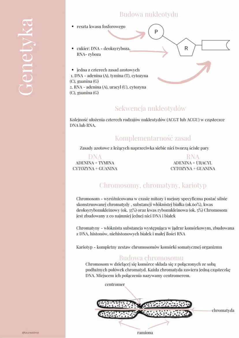 Genetyka
@futureviolinist
Czym jest genetyka?
Genetyka jest to nauka zajmująca się dziedziczeniem cech oraz zmiennością
organizmu. Za ojca g