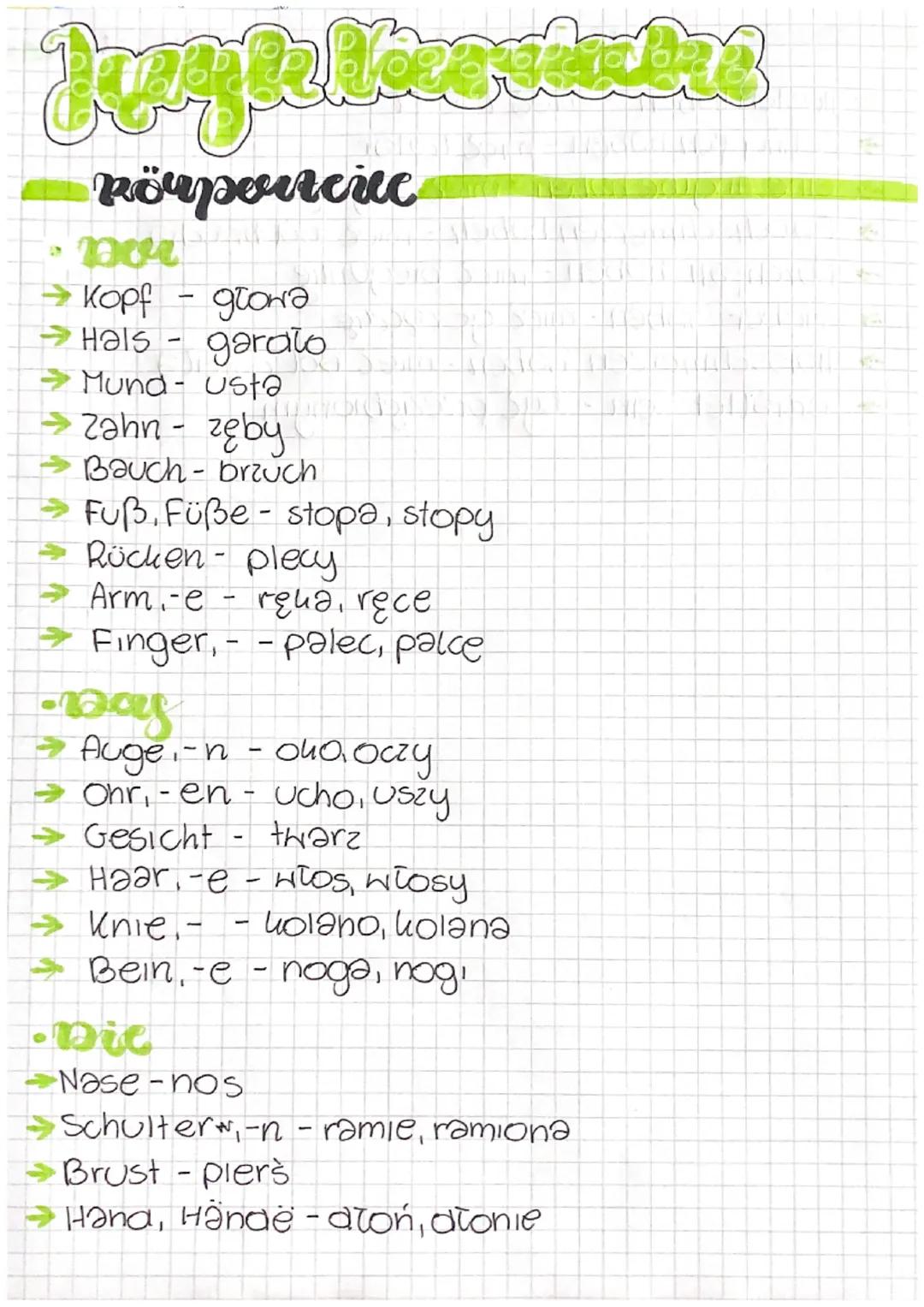 # aceaekabre

# Pörportciuc

- por

→ Kopf - groна

→ Hals - garato

→ Mund- usta

→ zahn - zęby

→ Bauch-brzuch

→ Fuß. Füße - stopa, stopy