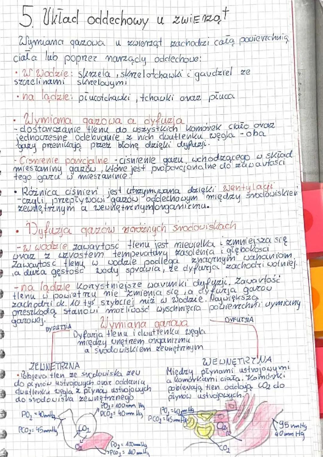 układ oddechowy u zwierząt 