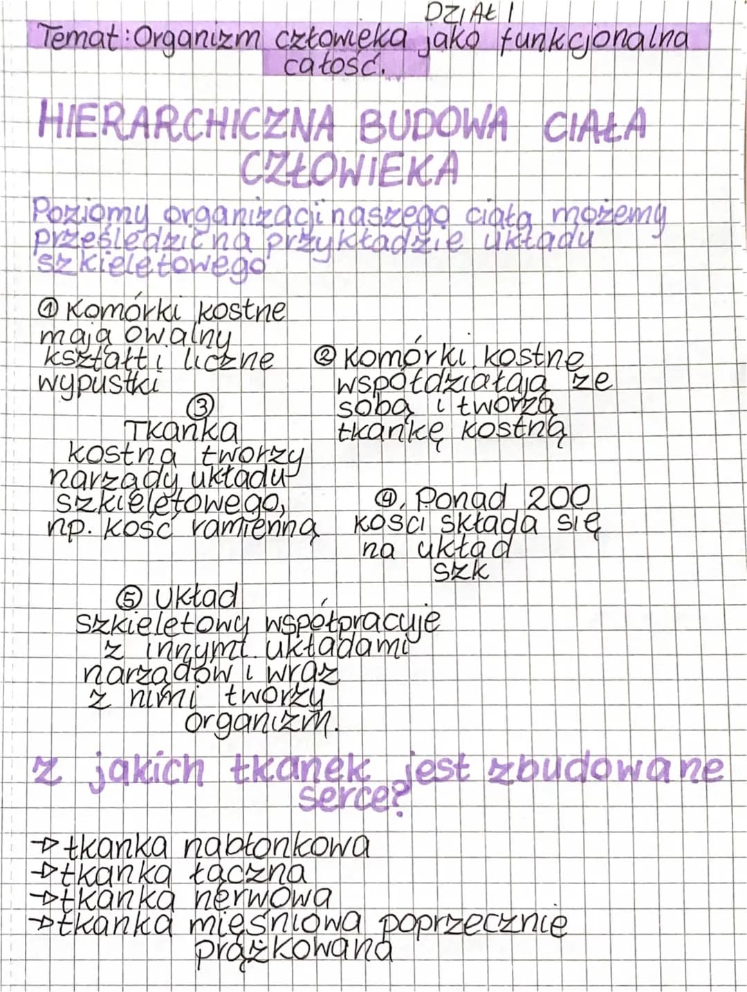 Anatomia człowieka: Budowa i funkcje organizmu