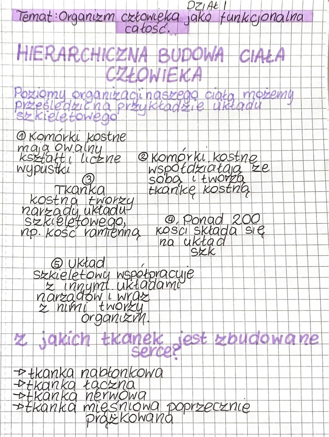 
<p>DZIAŁ I</p>
<h2 id="tematorganizmczowiekajakofunkcjonalnacao">Temat Organizm człowieka jako funkcjonalna całość</h2>
<p>HIERARCHICZNA BU