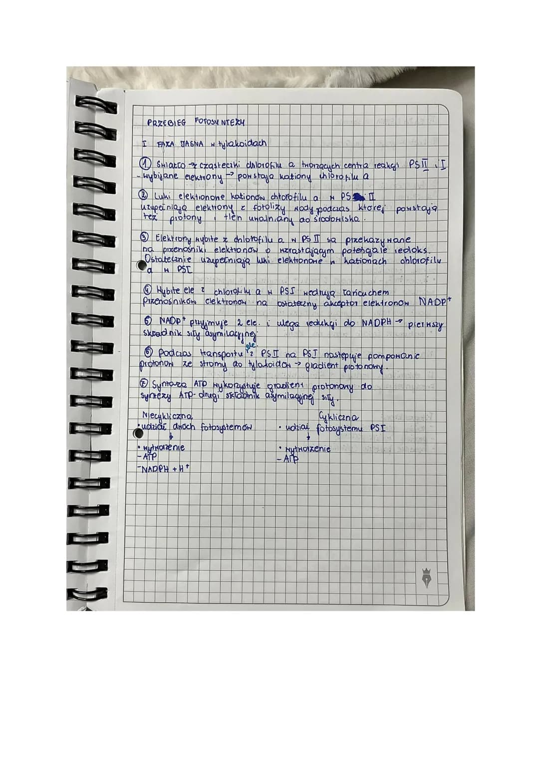 T Fotosyntexa
lekga
AUTOTROFIXM
[Rodzaj odzywiania się organizmow
Samodzielne wytwarzanie ZNIAZKON ORGANICZNYCH Z prostych
ZNIAZKON NIEORGAN