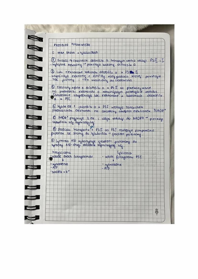 T Fotosyntexa
lekga
AUTOTROFIXM
[Rodzaj odzywiania się organizmow
Samodzielne wytwarzanie ZNIAZKON ORGANICZNYCH Z prostych
ZNIAZKON NIEORGAN