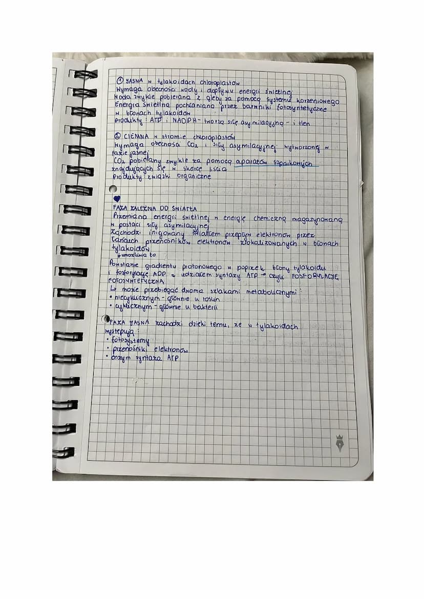 T Fotosyntexa
lekga
AUTOTROFIXM
[Rodzaj odzywiania się organizmow
Samodzielne wytwarzanie ZNIAZKON ORGANICZNYCH Z prostych
ZNIAZKON NIEORGAN