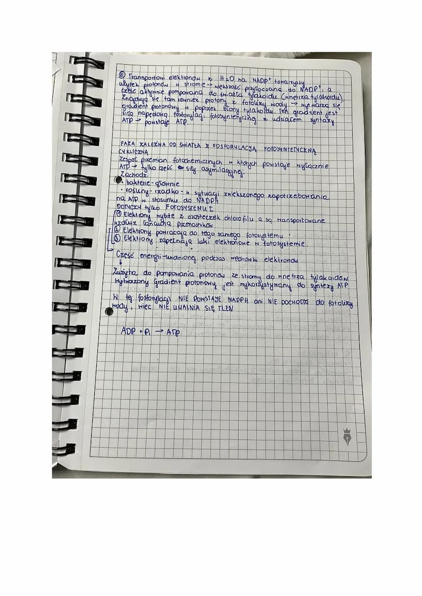 T Fotosyntexa
lekga
AUTOTROFIXM
[Rodzaj odzywiania się organizmow
Samodzielne wytwarzanie ZNIAZKON ORGANICZNYCH Z prostych
ZNIAZKON NIEORGAN