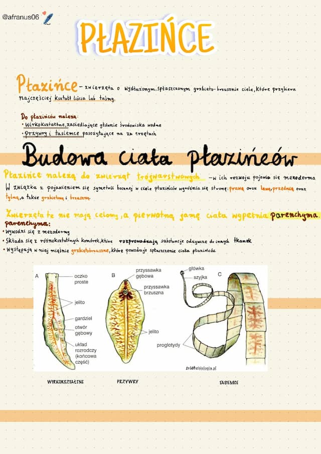 Know Płazińce thumbnail