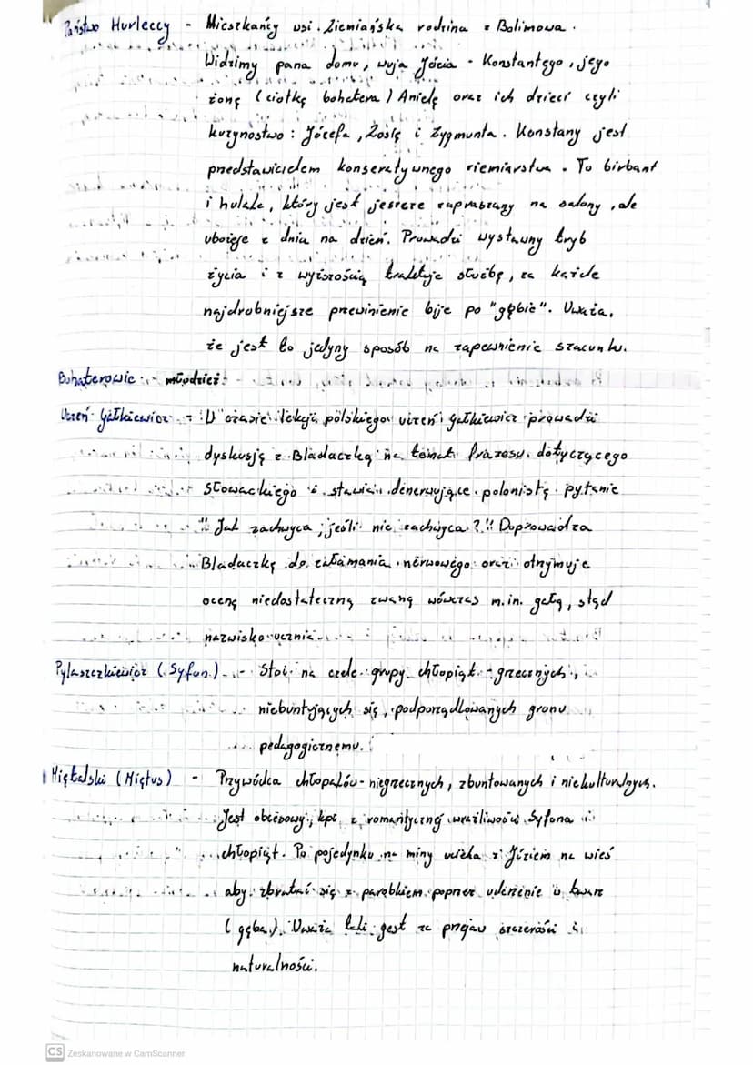 FERDY DURKE
Autor: Witold Gombrowicz'
CLASS
Czas: Lata trzydzieste XX wieku, uspółczesne autorout
Miejsce akcji Szkoła, stancja u Młodziaków