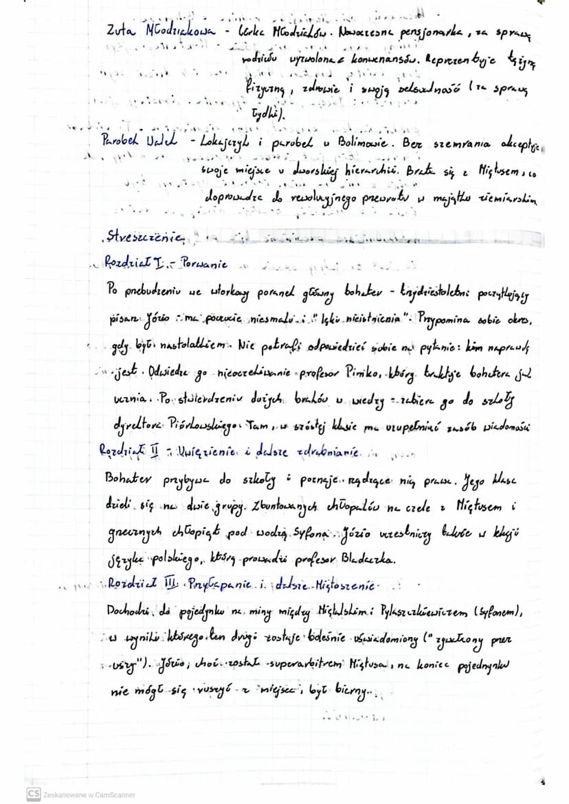 FERDY DURKE
Autor: Witold Gombrowicz'
CLASS
Czas: Lata trzydzieste XX wieku, uspółczesne autorout
Miejsce akcji Szkoła, stancja u Młodziaków