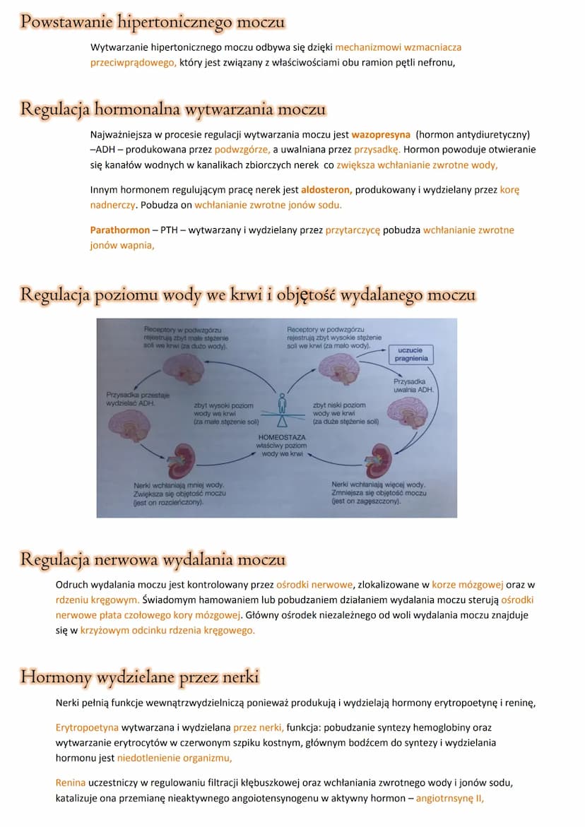 Wydalanie
Usuwanie z organizmu zbędnych oraz szkodliwych produktów przemiany materii,
Osmoregulacja
Procesy warunkujące utrzymanie równowagi
