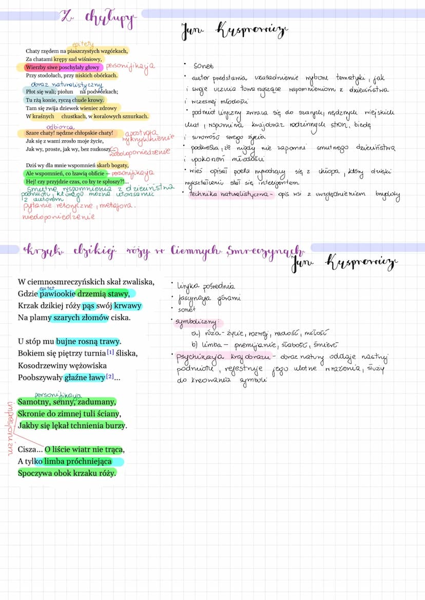 Melodiy mgiel nocnych
personifikaya
Cicho, cicho, nie budźmy śpiącej wody w kotlinie,
Lekko z wiatrem pląsajmy po przestworów głębinie...
Ok