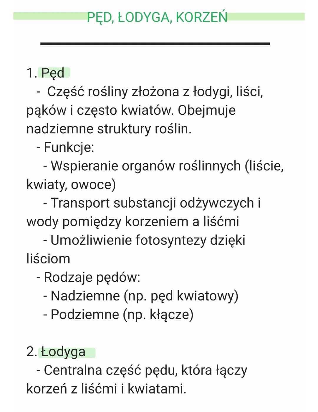 Pęd, Łodyga, Korzeń 🌱- Notatka z Biologi (2)