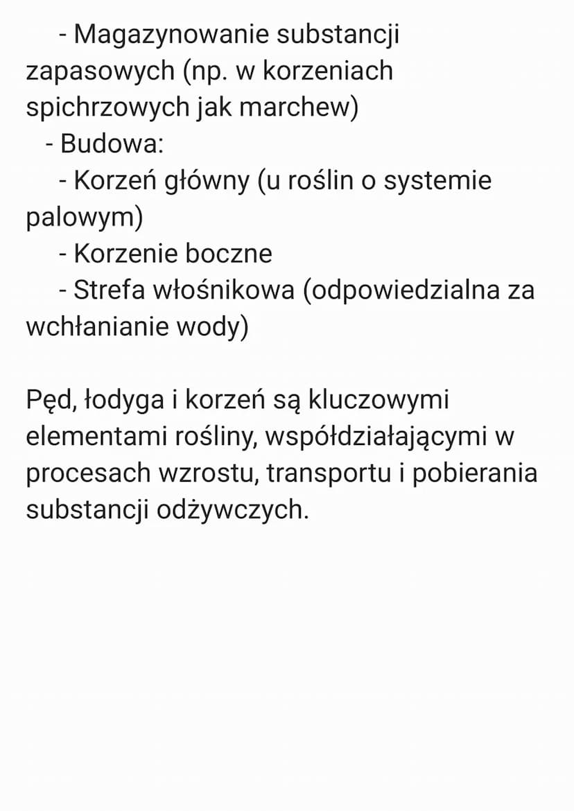 PĘD, ŁODYGA, KORZEŃ
1. Pęd
-
Część rośliny złożona z łodygi, liści,
pąków i często kwiatów. Obejmuje
nadziemne struktury roślin.
- Funkcje:
