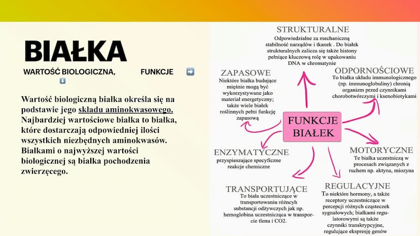 BIAŁKA
I AMINOKWASY
KAROLINA JANKOWSKA AMINOKWASY
CZYM SĄ?
Aminokwasy to związki chemiczne, które po
połączeniu się tworzą białko. Każde bia