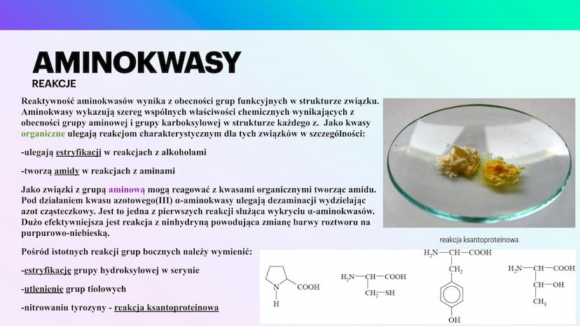 BIAŁKA
I AMINOKWASY
KAROLINA JANKOWSKA AMINOKWASY
CZYM SĄ?
Aminokwasy to związki chemiczne, które po
połączeniu się tworzą białko. Każde bia