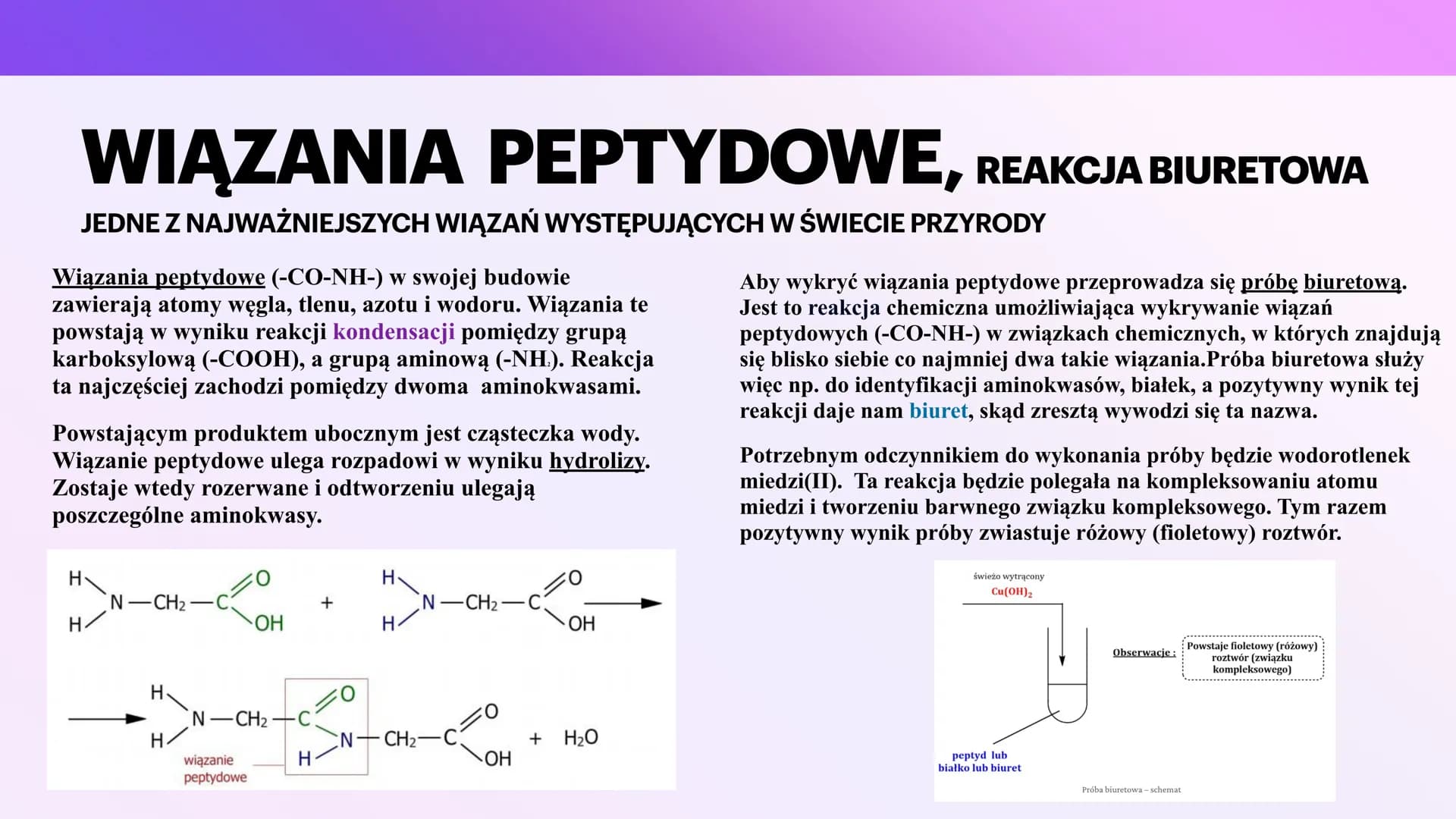 BIAŁKA
I AMINOKWASY
KAROLINA JANKOWSKA AMINOKWASY
CZYM SĄ?
Aminokwasy to związki chemiczne, które po
połączeniu się tworzą białko. Każde bia