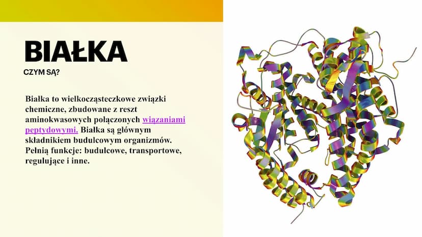 BIAŁKA
I AMINOKWASY
KAROLINA JANKOWSKA AMINOKWASY
CZYM SĄ?
Aminokwasy to związki chemiczne, które po
połączeniu się tworzą białko. Każde bia