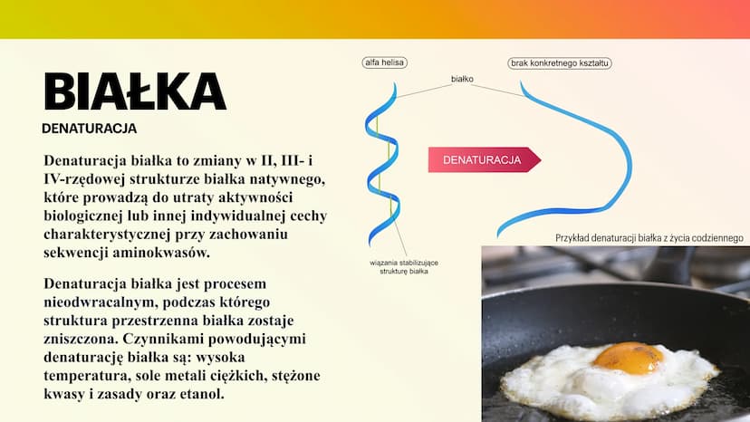 BIAŁKA
I AMINOKWASY
KAROLINA JANKOWSKA AMINOKWASY
CZYM SĄ?
Aminokwasy to związki chemiczne, które po
połączeniu się tworzą białko. Każde bia