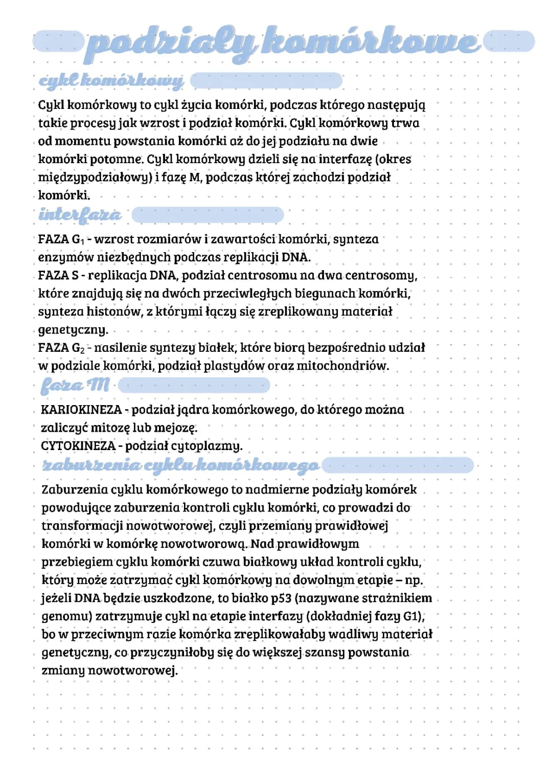 Cykl Komórkowy: Mitoza i Mejoza - Notatka dla Dzieci