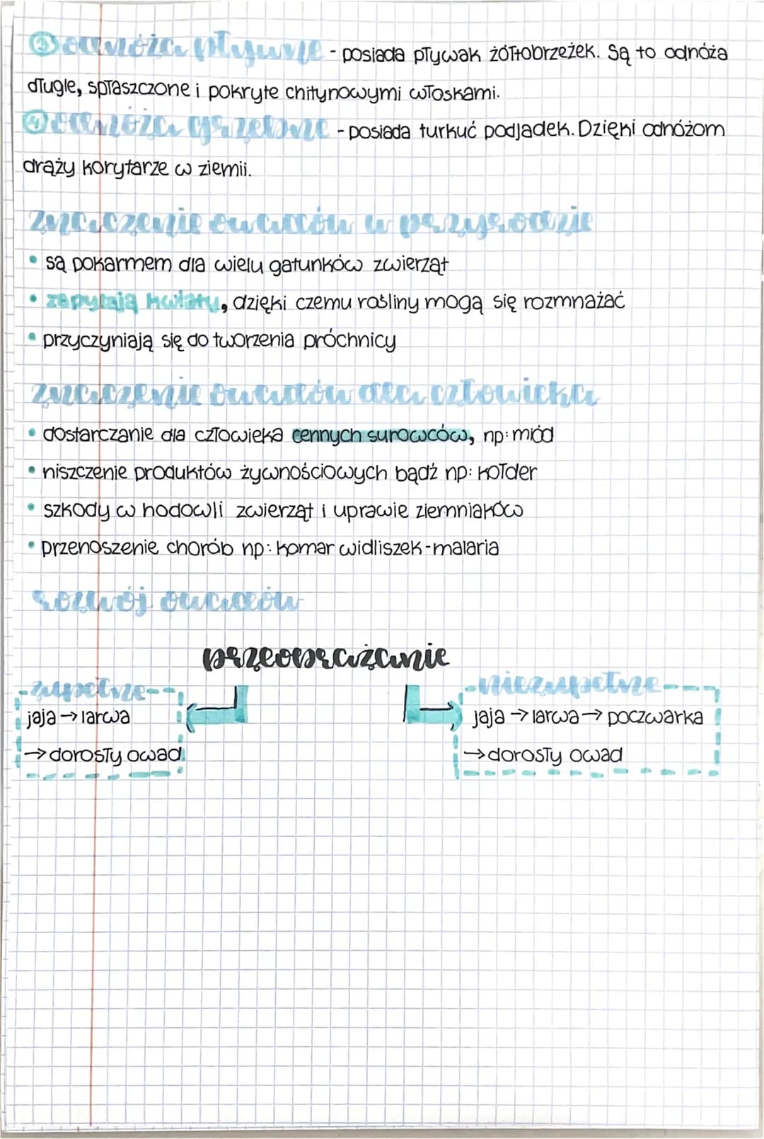 Hi
biolog
Owady to stawonogi zaoine ao lotu. Znamy obecnie ponaa milion gatunków
owagow. Są to między innymi mrówki, muchy, PSZCZOTY i motyl