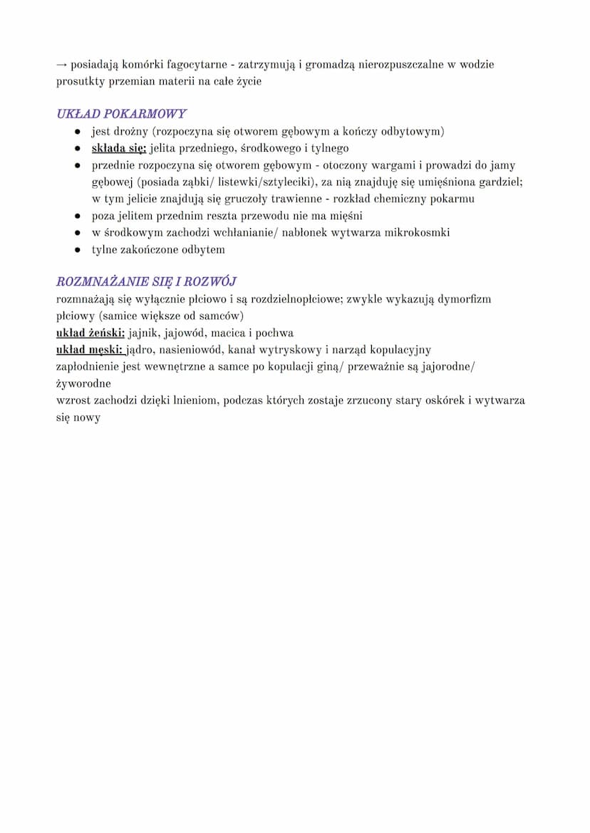 NICIENIE ZWIERZĘTA O OBŁYM NIECZŁONOWANYM CIELE
OGÓLNA BUDOWA CIAŁA
wydłużone, obłe i zwężone na obu końcach ciało
symetria dwuboczna i brak