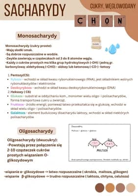 Know Sacharydy - cukry, biologia rozszerzona 1 thumbnail