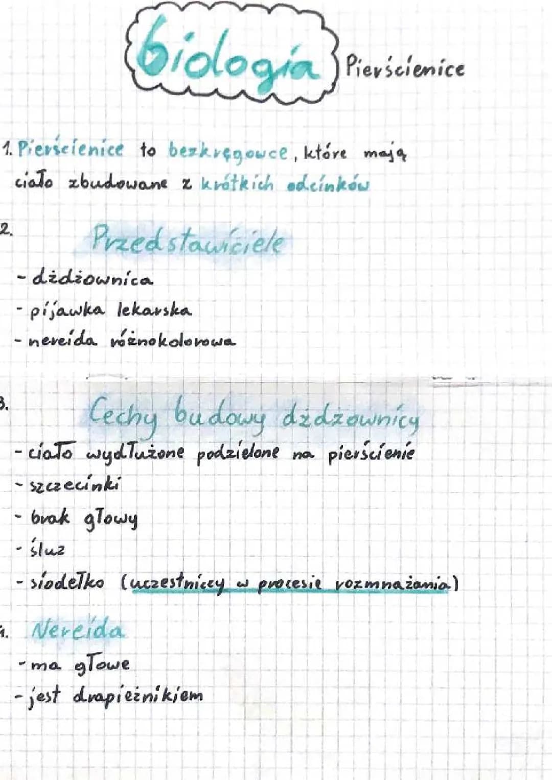Czy Dżdżownica Ma Mózg? Budowa i Życie Pierścienic