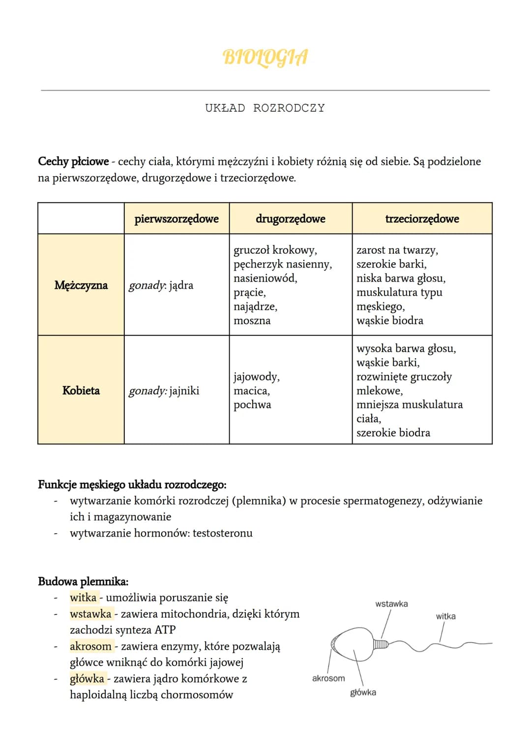 <h2 id="budowaifunkcjeukadurozrodczego">Budowa i funkcje układu rozrodczego</h2>
<p>Cechy płciowe to cechy ciała, które odróżniają mężczyznę