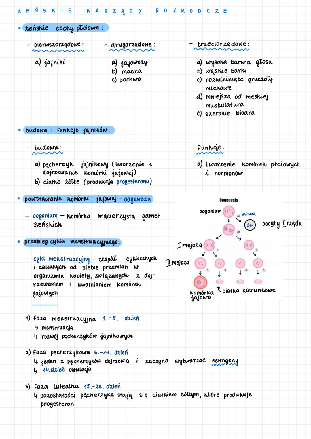 MĘSKIE
• męskie cechy płciowe:
pierwszorzędowe:
-
● cechy płciowe
cechy ciała którymi kobieta i mężczyzna różnią się.
dzielą się na pierwszo