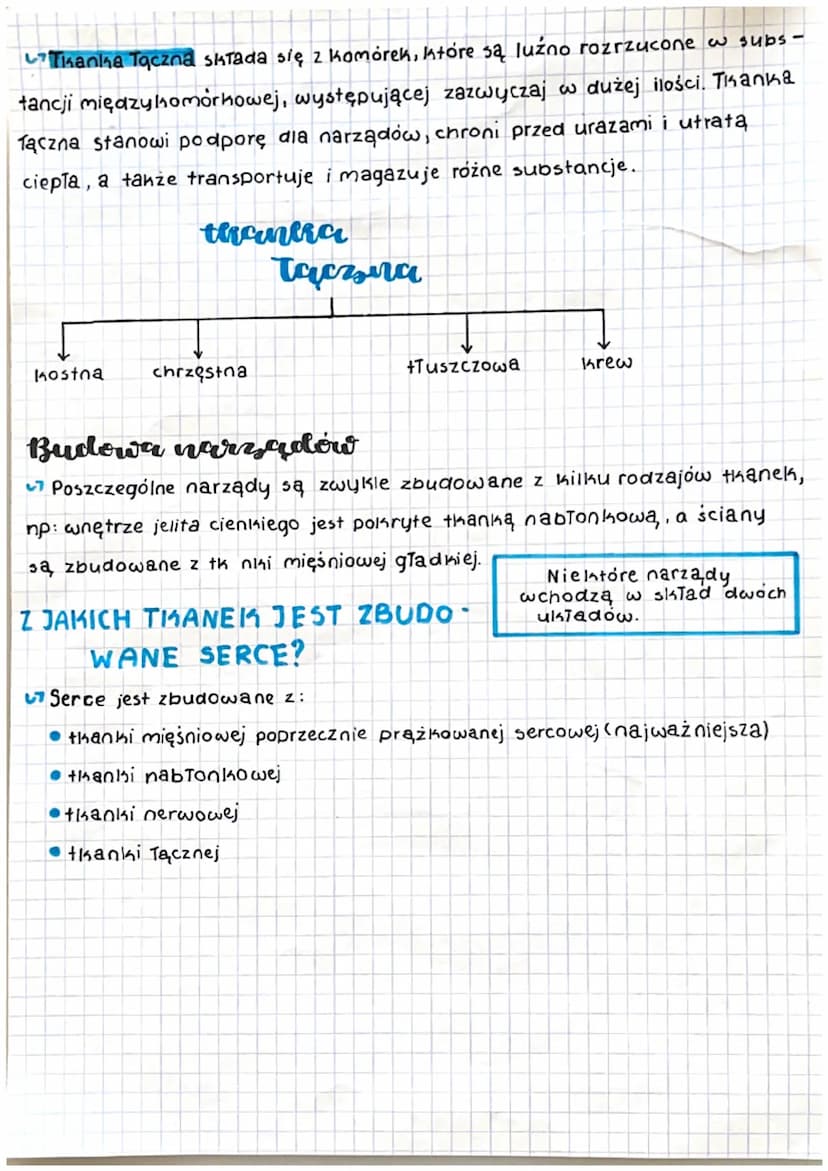 biologia
Podstawowymi jednostkami organizmu są komórki. Komórki, które ma -
ją podobną budowę i pełnią te same funkcje tworzą tkanki. Z tkan