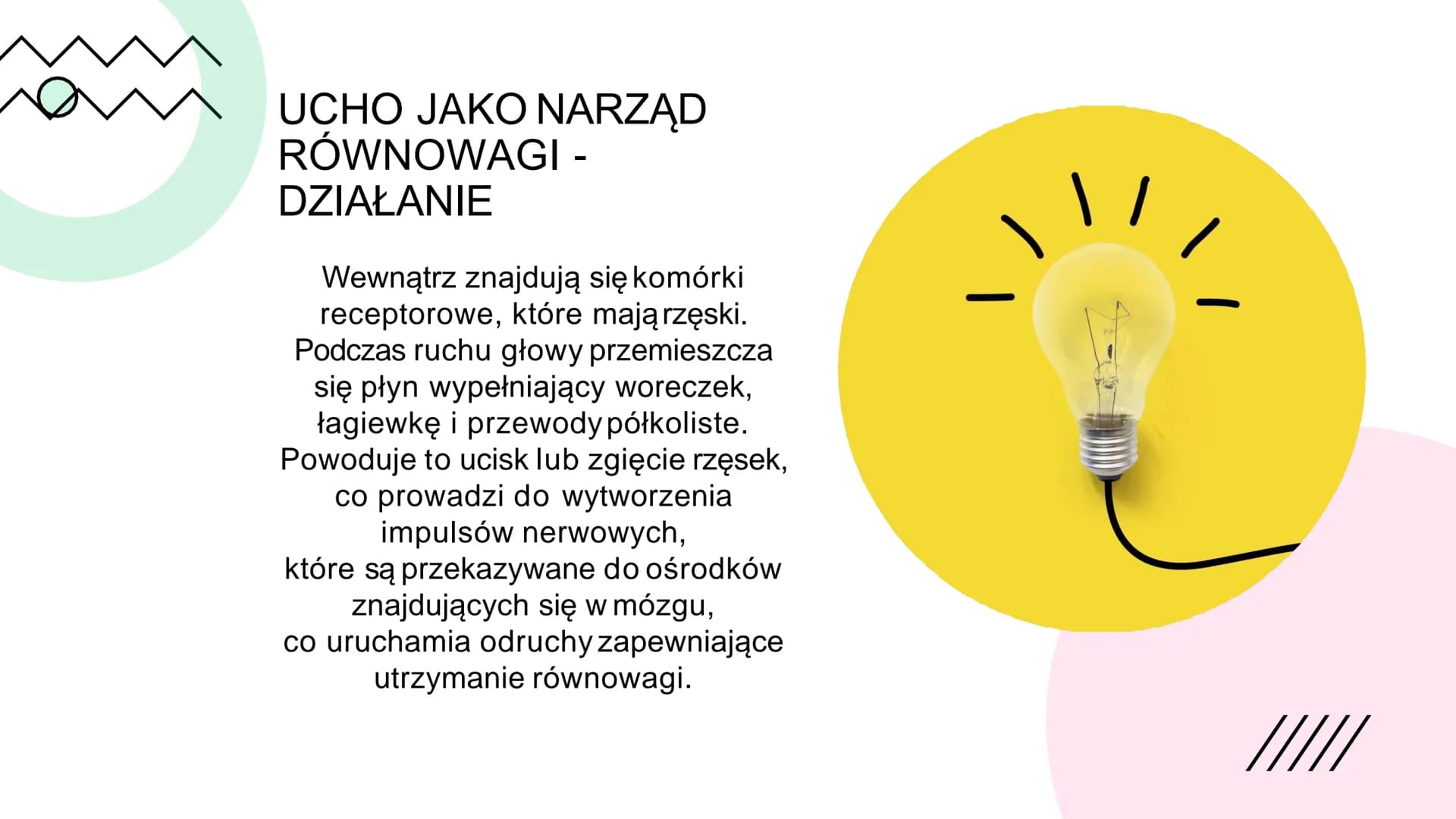 BUDOWA
I
DZIAŁANIE
UCHA BUDOWA
UCHA
Ucho zewnętrzne: 1. Małżowina uszna-zbiera falę
dźwiękową i kieruje ją do przewodu słuchowego; 2.
Przewó