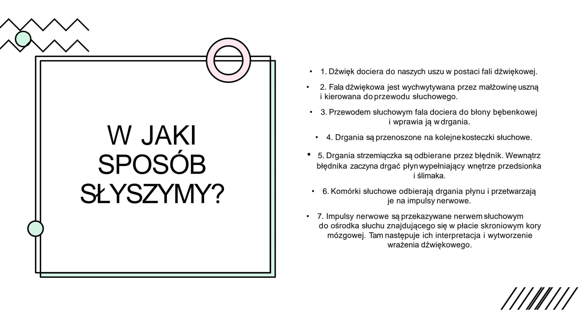 BUDOWA
I
DZIAŁANIE
UCHA BUDOWA
UCHA
Ucho zewnętrzne: 1. Małżowina uszna-zbiera falę
dźwiękową i kieruje ją do przewodu słuchowego; 2.
Przewó