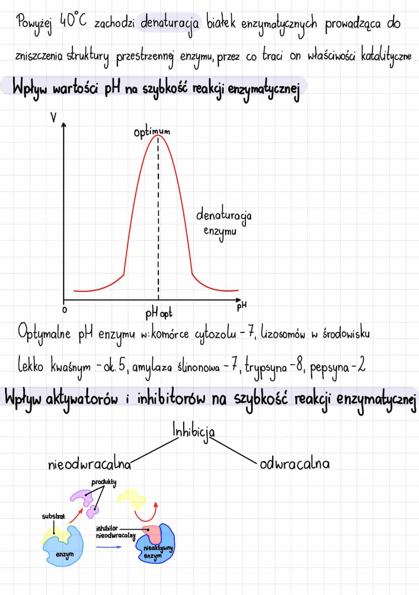 Na Wykresach Przedstawiono Wpływ Ph Na Aktywność Trzech Enzymów Jak działają enzymy? Regulacja ich aktywności, inhibitory i