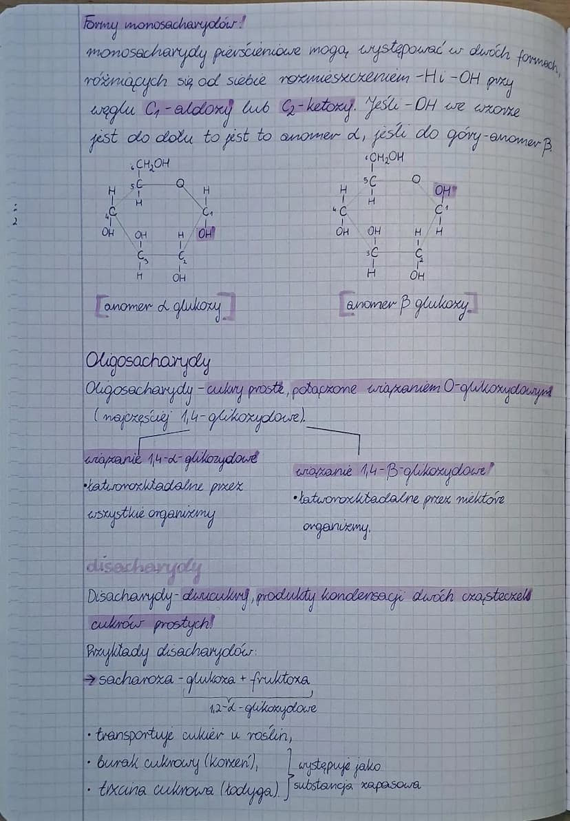 Sacharydy-cukry lub węglowodany, powstajape głównie w procesie fotosyntexy,
przeprowadzanym pixex organizmy autotrofickne. Są zbudowane x
we