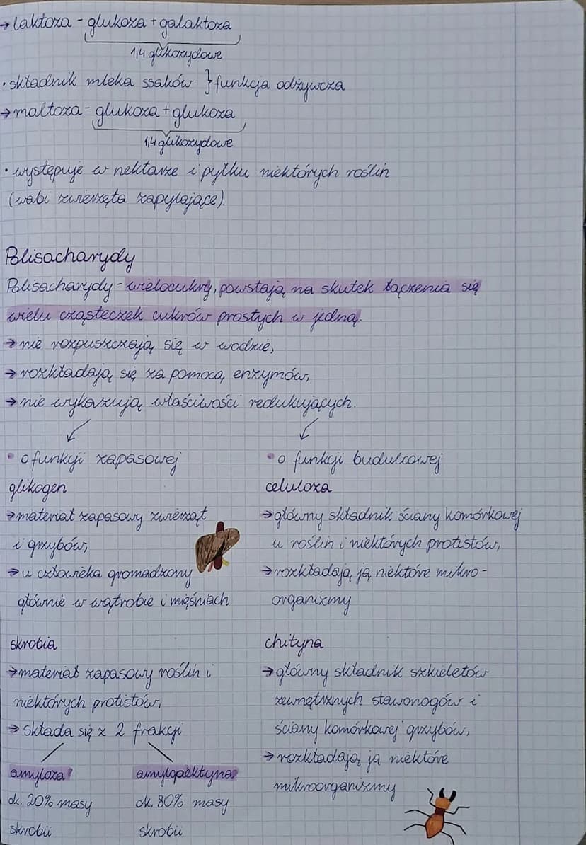 Sacharydy-cukry lub węglowodany, powstajape głównie w procesie fotosyntexy,
przeprowadzanym pixex organizmy autotrofickne. Są zbudowane x
we