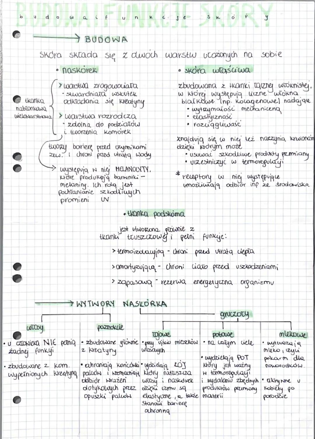 SKÓRA - POWŁOKA CIAŁA
