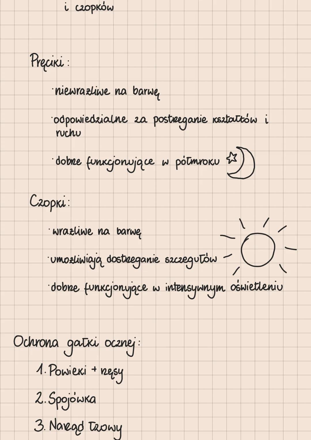 Rodzaje receptorów
1. Mechanoreceptory -odbierają bodźce mechaniczne
2. Chemoreceptory - odbierają bodźce chemiczne
3. Termoreceptory -odbie
