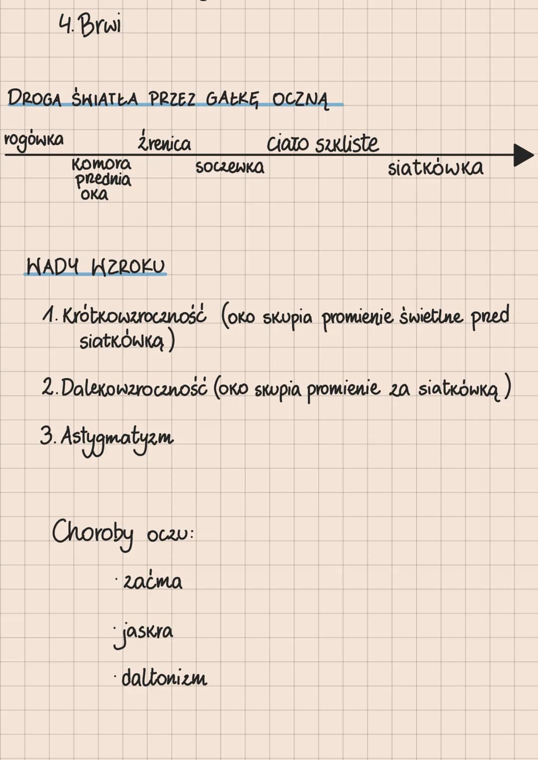 Rodzaje receptorów
1. Mechanoreceptory -odbierają bodźce mechaniczne
2. Chemoreceptory - odbierają bodźce chemiczne
3. Termoreceptory -odbie