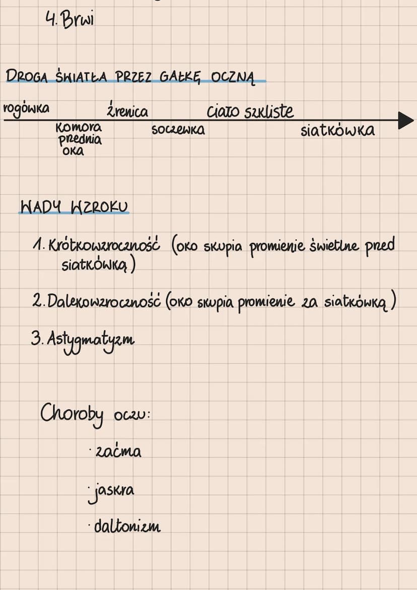 Rodzaje receptorów
1. Mechanoreceptory -odbierają bodźce mechaniczne
2. Chemoreceptory - odbierają bodźce chemiczne
3. Termoreceptory -odbie