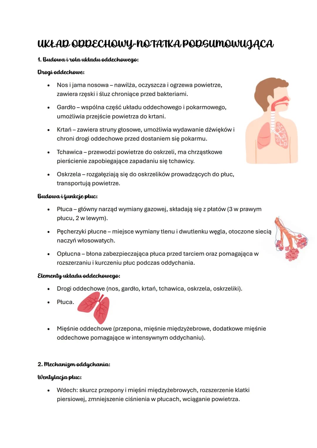 # UKŁAD ODDECHOWY-NOTATKA PODSUMOWUJĄCA

1. Budowa i rola układu oddechowego:

Drogi oddechowe:

- Nos i jama nosowa - nawilża, oczyszcza i 